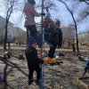 Прогулка в старшей группе